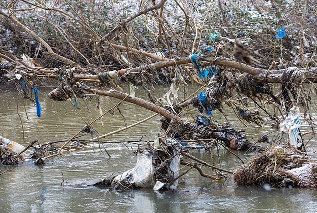 Plague Of Plastic Marring Hackney Marshes Beauty Spot Shows Why Britain Needs A Spring Clean Readsector