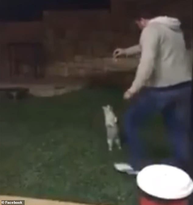 Police launch appeal to identify alleged animal abuser after video